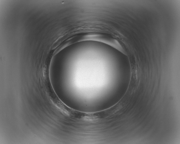 X0000080790556200612151457