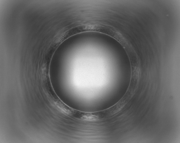 X0000080790557200612151458