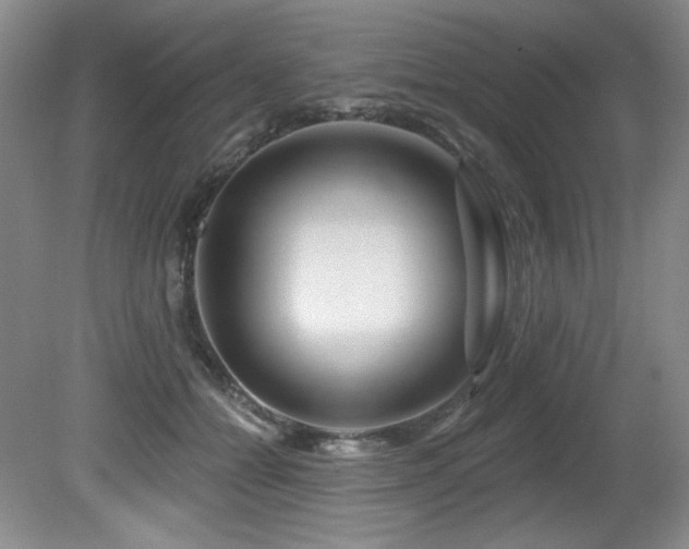 X0000080790558200612151458