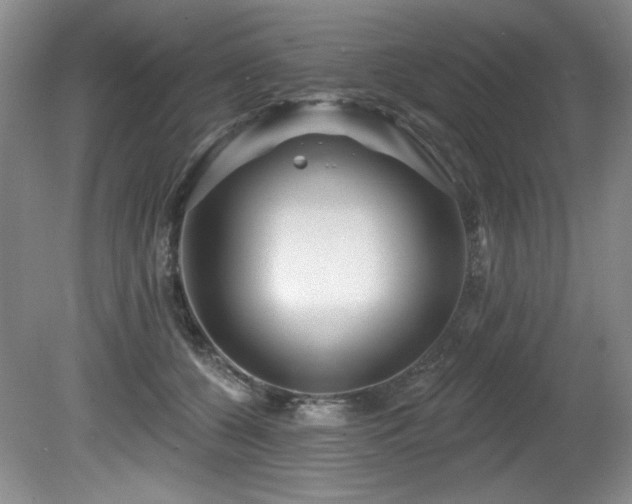 X0000080790560200612151458