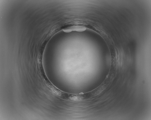 X0000080790561200612151458