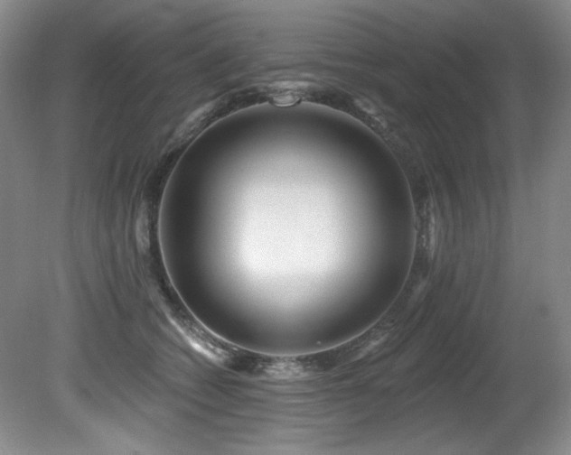 X0000080790562200612151458