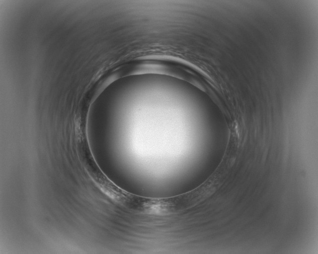 X0000080790564200612151458