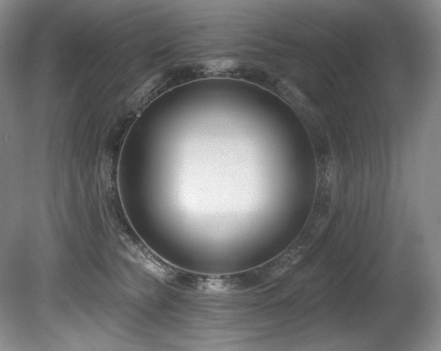 X0000080790565200612151458