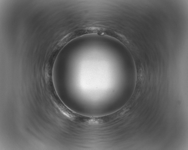 X0000080790566200612151458