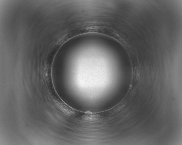 X0000080790567200612151458