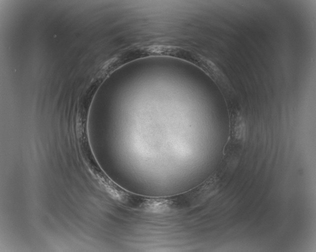 X0000080790569200612151458