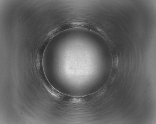 X0000080790570200612151458