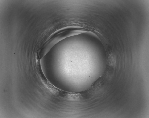 X0000080790571200612151458