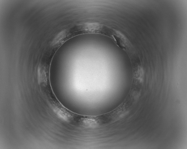 X0000080790572200612151458