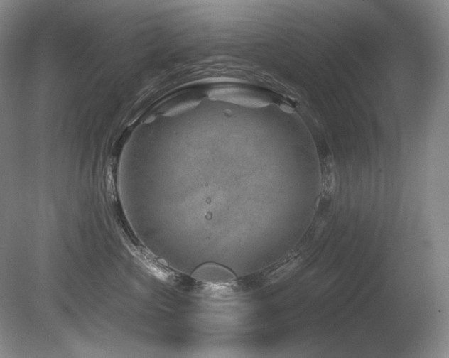 X0000080790573200612151458