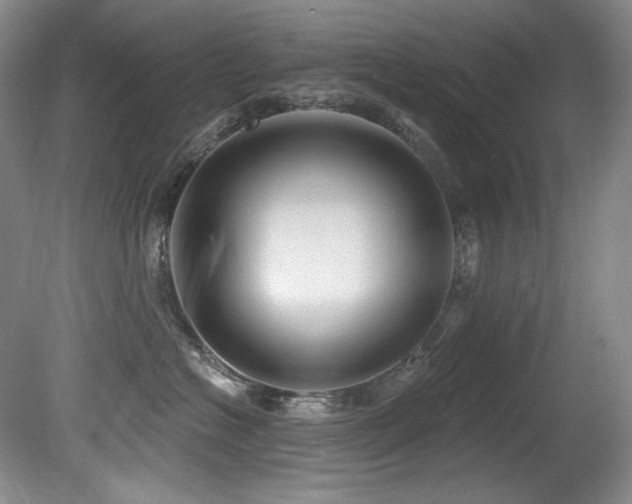 X0000080790574200612151458