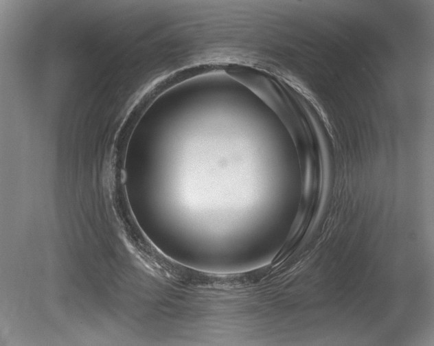X0000080790580200612151457