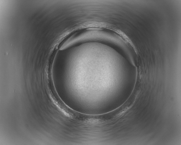 X0000080790581200612151457