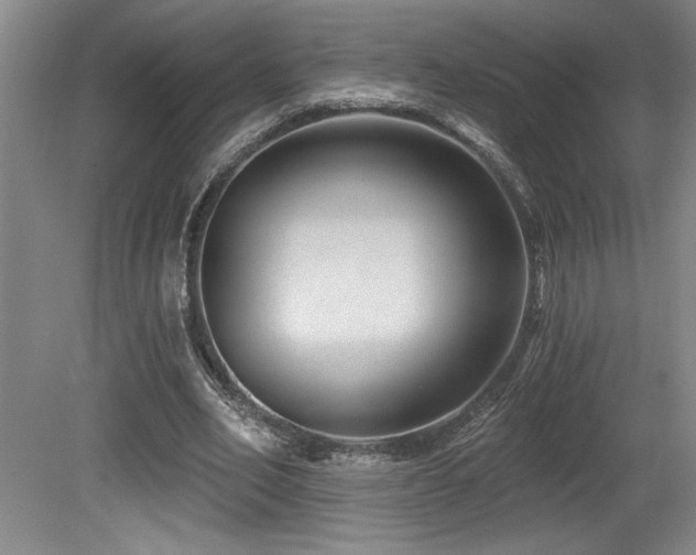 X0000080790582200612151457