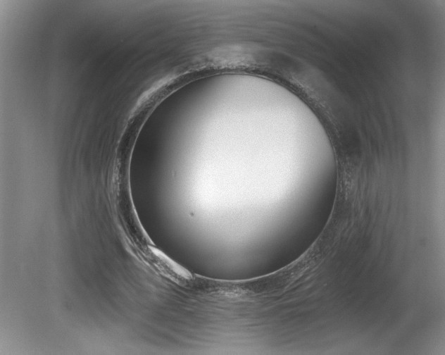 X0000080790583200612151457