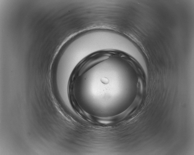 X0000080790584200612151457