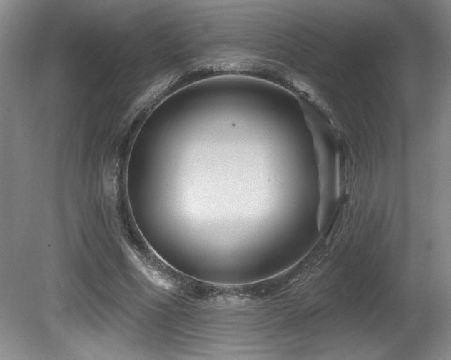 X0000080790586200612151457