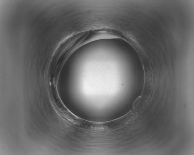 X0000080790587200612151457