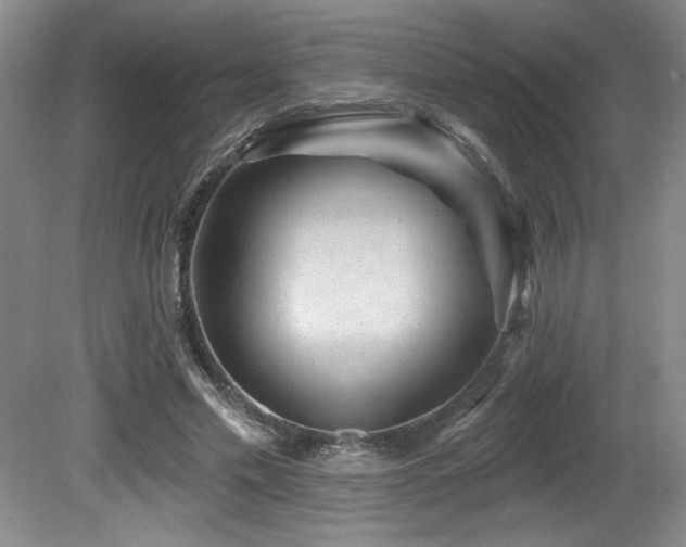 X0000080790589200612151457