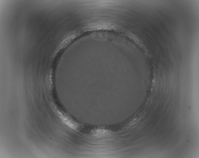 X0000080790590200612151457