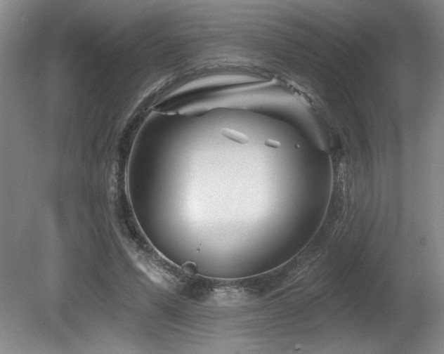 X0000080790591200612151457