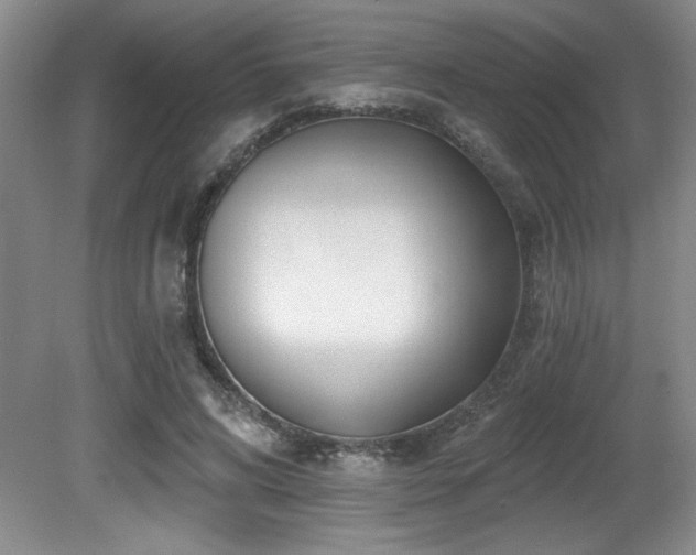 X0000080790592200612151457
