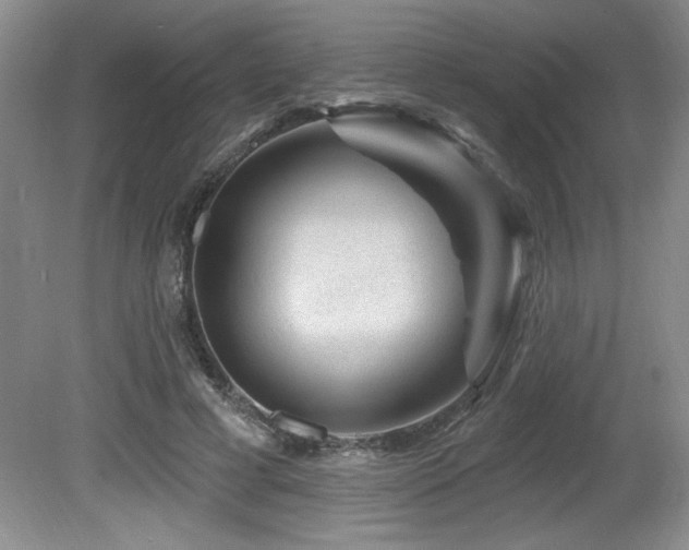 X0000080790593200612151457