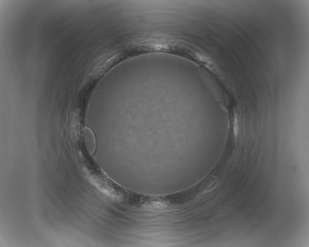 X0000080790594200612151457