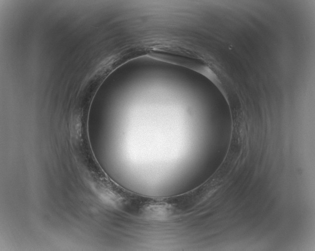 X0000080790595200612151457