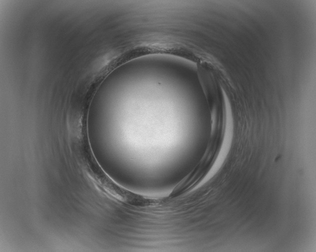 X0000080790596200612151457