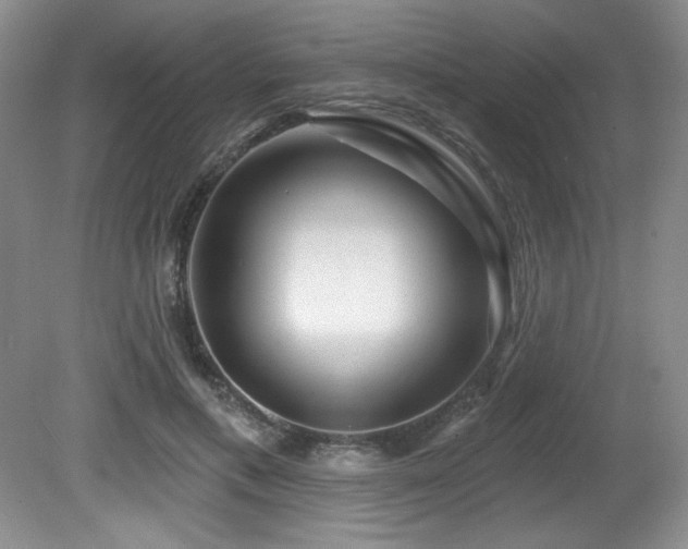X0000080790597200612151457