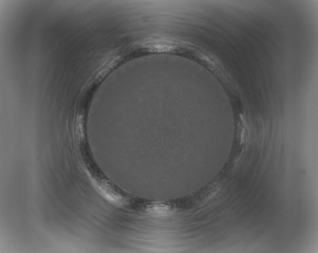 X0000080790598200612151457