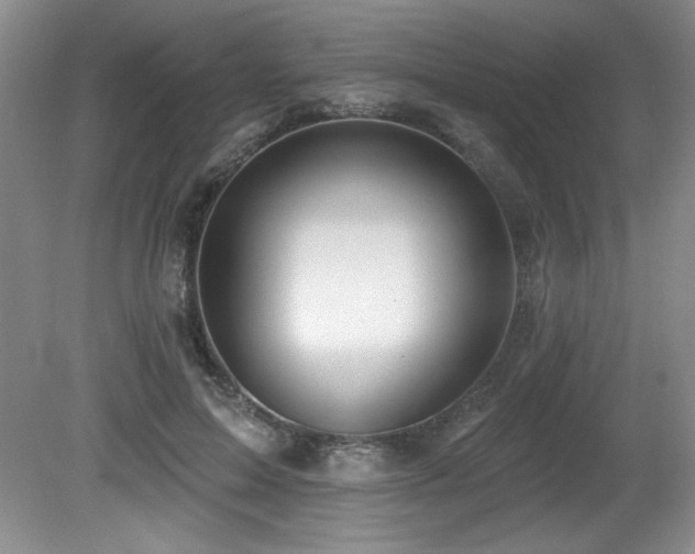 X0000080790599200612151457