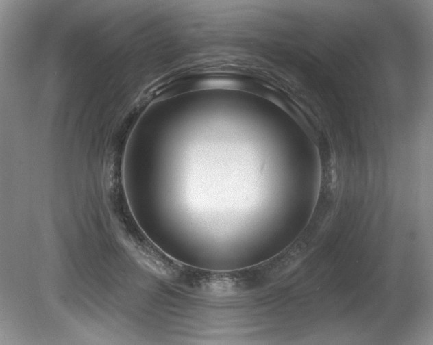 X0000080790600200612151457