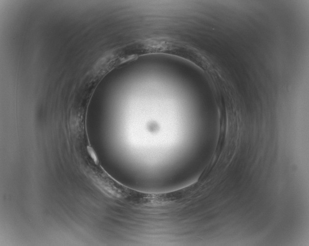 X0000080790601200612151457