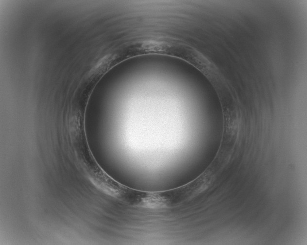 X0000080790603200612151457
