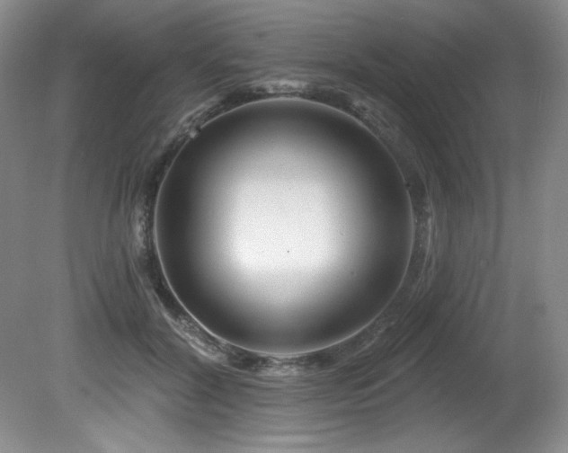 X0000080790604200612151457