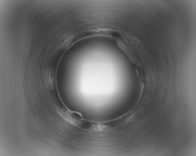 X0000080790607200612151457