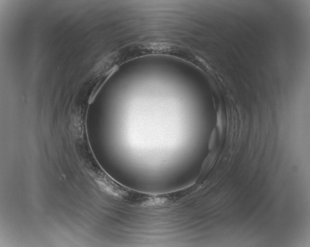 X0000080790609200612151456