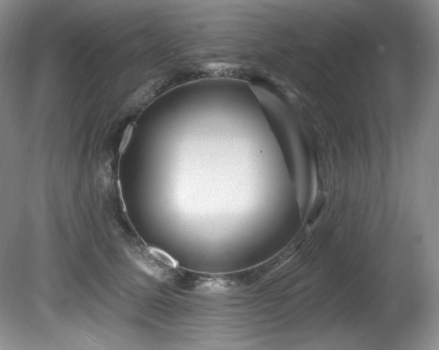 X0000080790611200612151456