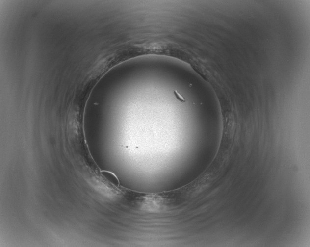 X0000080790612200612151456