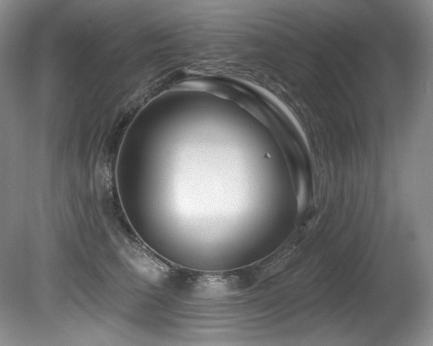 X0000080790613200612151456