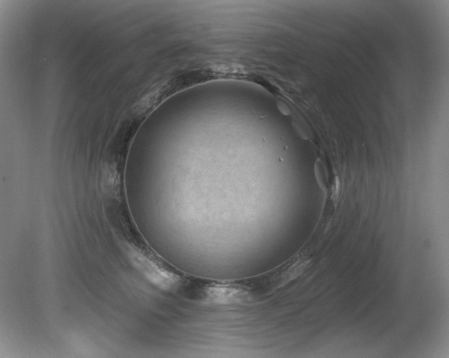 X0000080790614200612151456