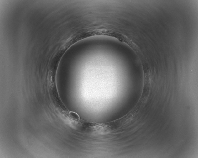 X0000080790615200612151456