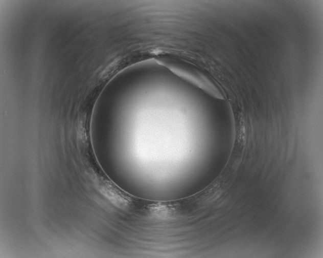 X0000080790616200612151456
