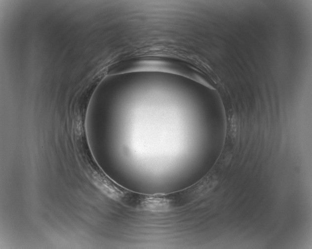 X0000080790617200612151456
