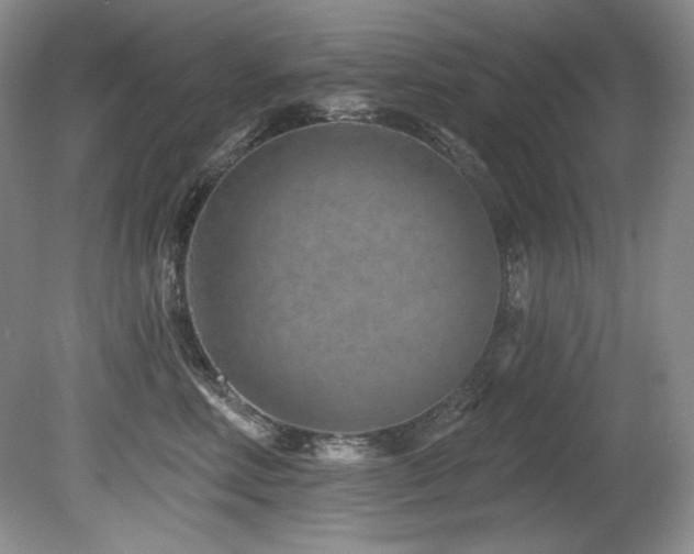 X0000080790618200612151456