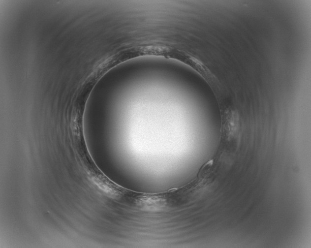 X0000080790619200612151456