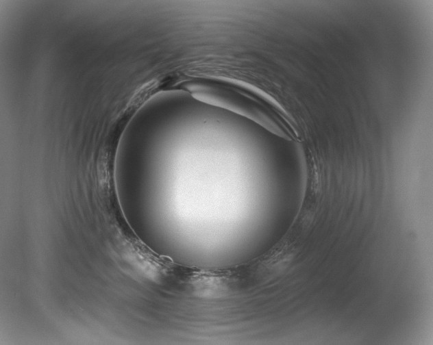 X0000080790620200612151456